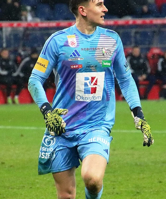 Nikolas Polster player card