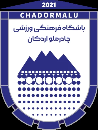 Hadi Habibinejad player card