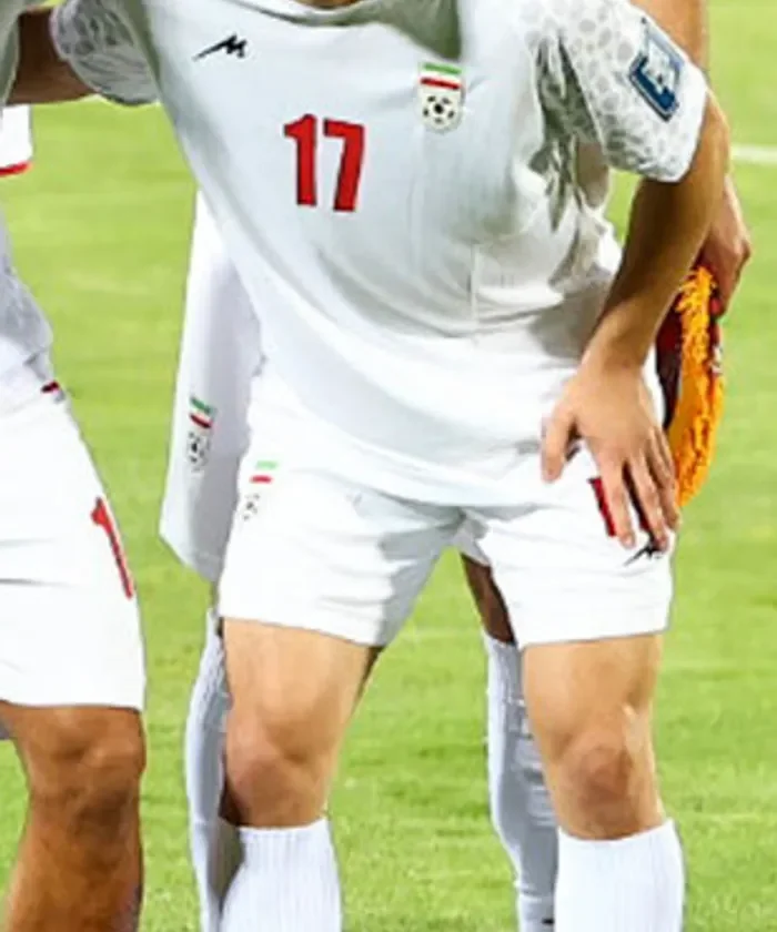 Mehdi Hashemnejad player card