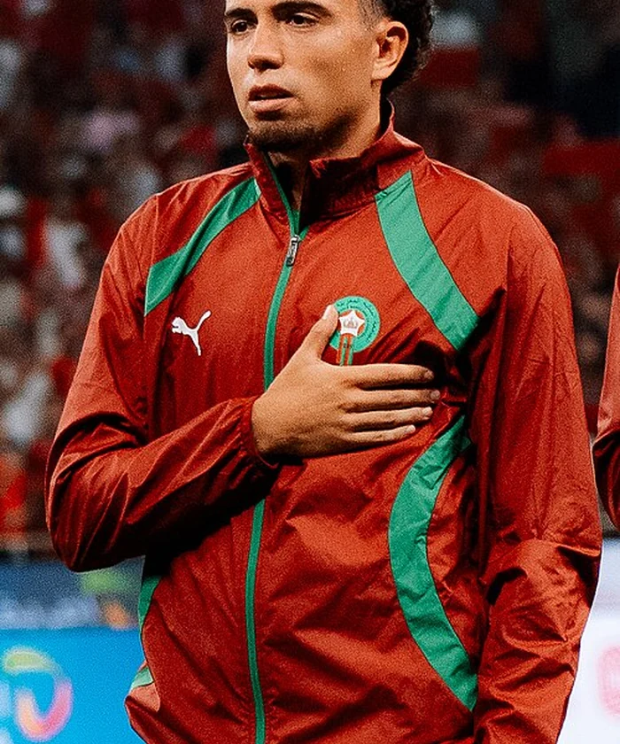 Neil El Aynaoui player card